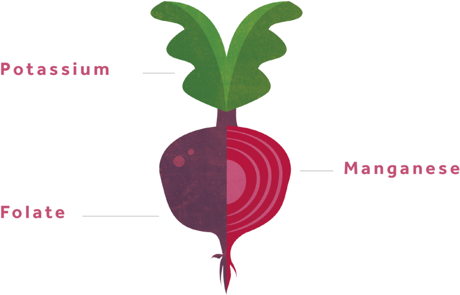 Beets-01 - Beetroot (1000x1000), Png Download