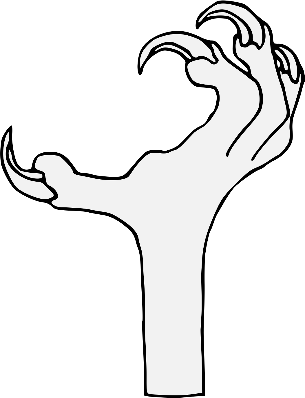 Bird's Foot - Foot (1106x1418), Png Download