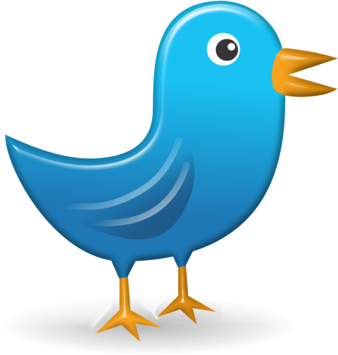 Vogel Icon (500x506), Png Download