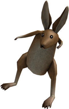 Shoulder Kangaroo - Roblox Kangaroo (420x420), Png Download