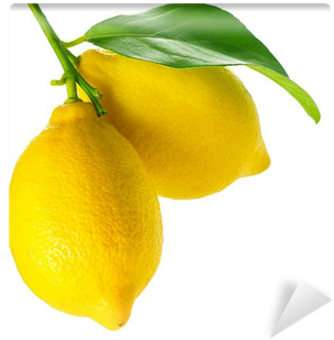 Lemon Isolated On White - Painting (400x400), Png Download