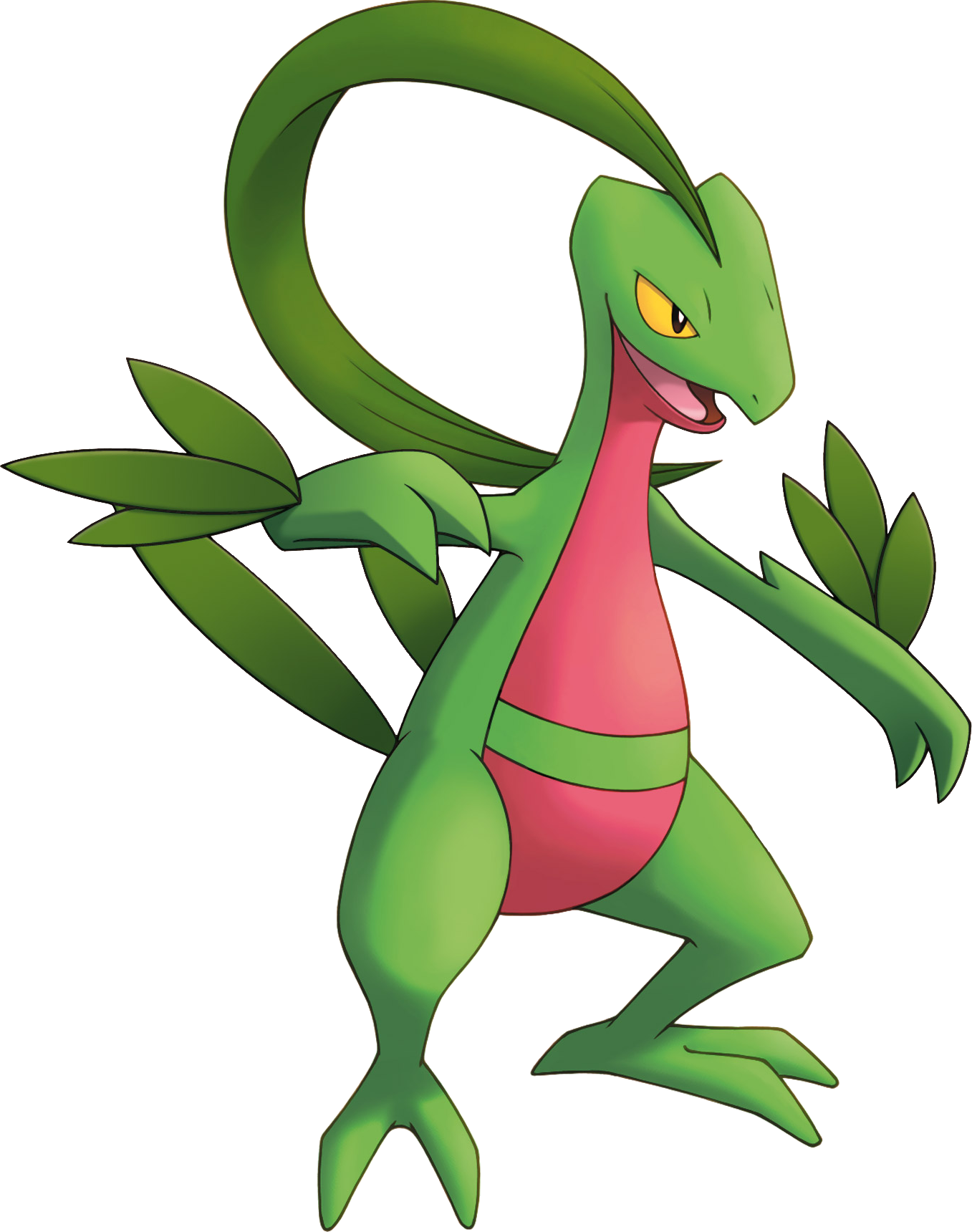 Favorite Grass Pokemon Starter - Pokemon Grovyle (1357x1720), Png Download