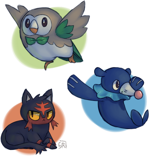 Drew The New Starters, The Owl Is My Favorite Altho - Cartoon (500x533), Png Download