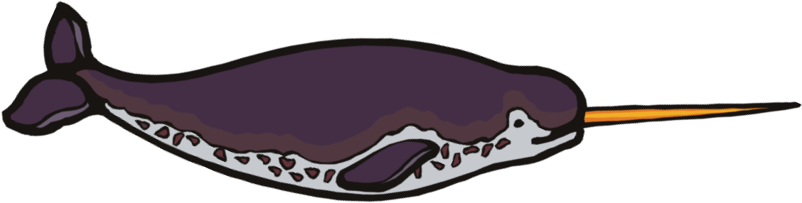 Narwhal (1141x868), Png Download