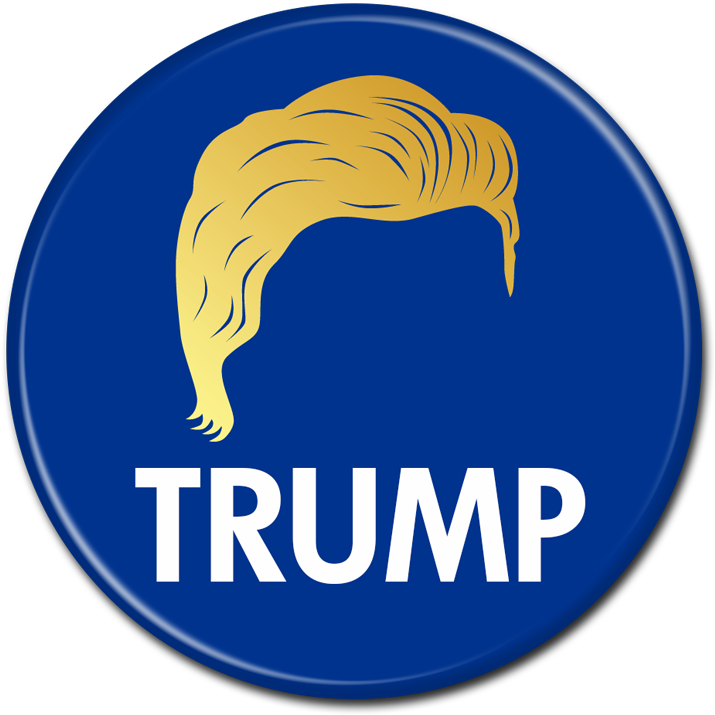 Donald Trump Button - Stupid Man Donald Trump (800x800), Png Download