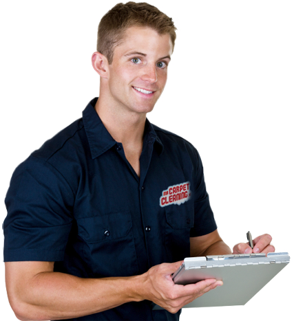 Mr Carpet Cleaning M - Pest Control Professional (427x467), Png Download