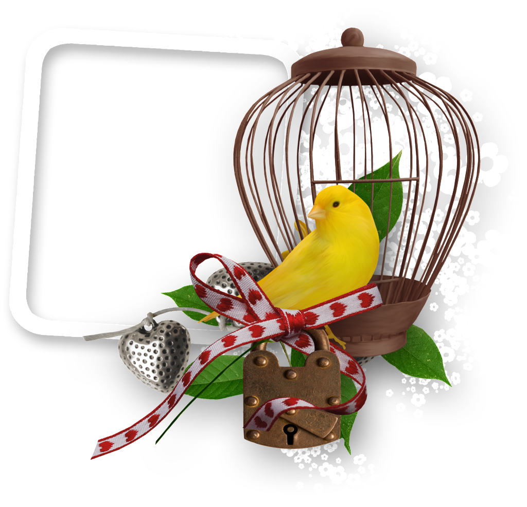 A Moldura Da Gaiola - Bird (1024x987), Png Download