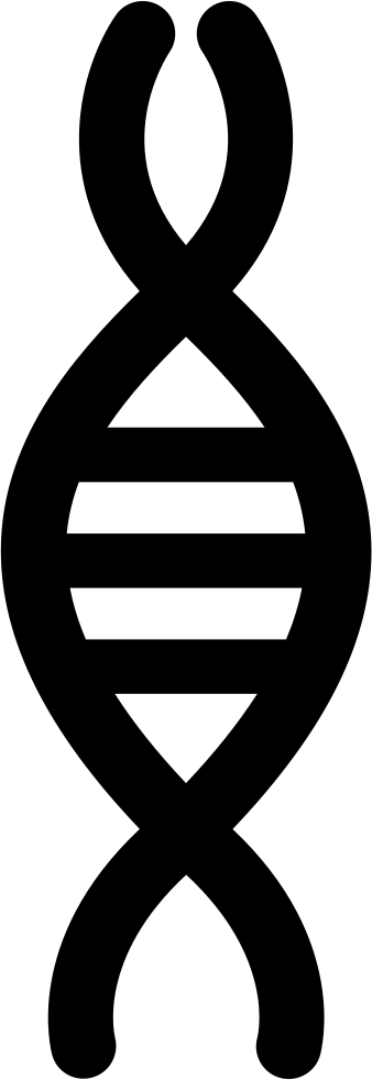 Chromosome Comments - Chromosome Silhouette (338x982), Png Download