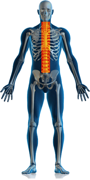 Physiotherapy All Body Pain (296x589), Png Download