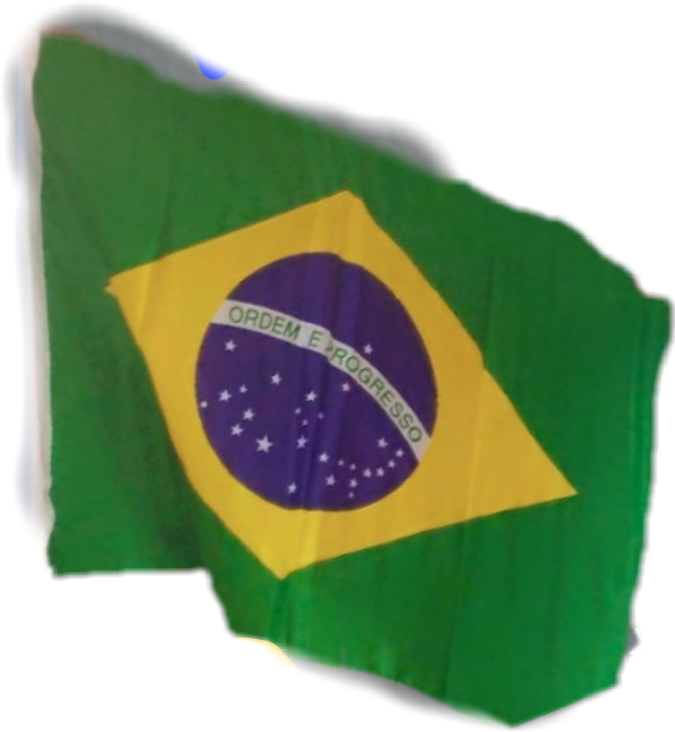 Brazil Flag (755x818), Png Download