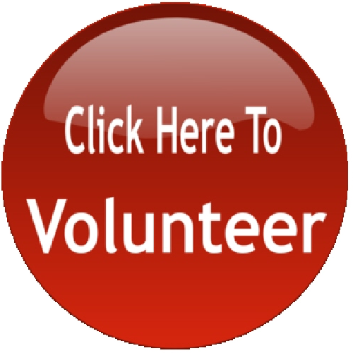 Click Here To Volunteer - Volunteer Clip Art (500x500), Png Download