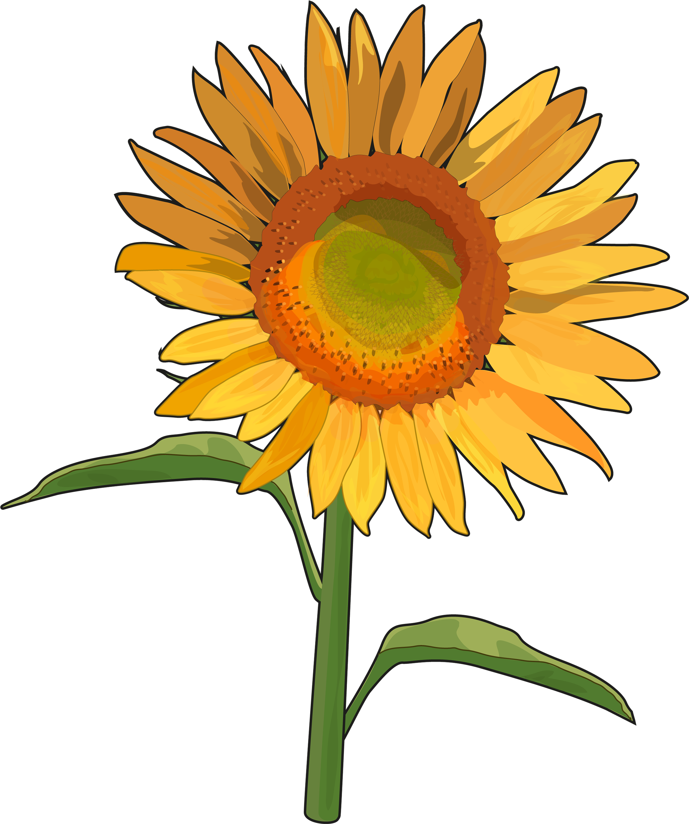 Girasol - Girasoles Tumblr En Png (2480x3508), Png Download