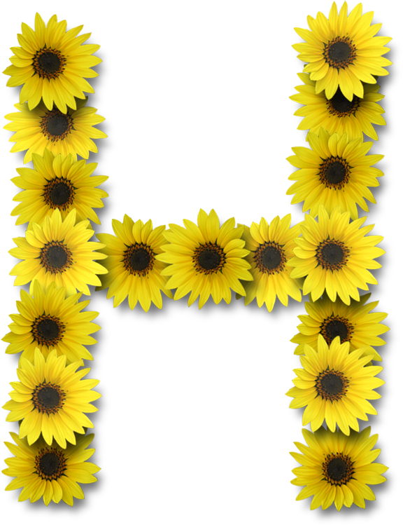 Yellow Flower Letter H (576x749), Png Download