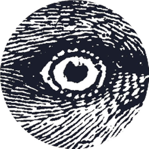 Gerardo Vilches Y Octavio Beares Son Dos Inquietos - Comics (580x567), Png Download