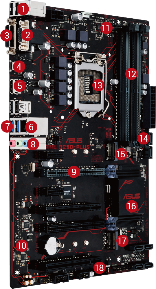 1 Usb - Asus Prime B250 Plus (574x993), Png Download