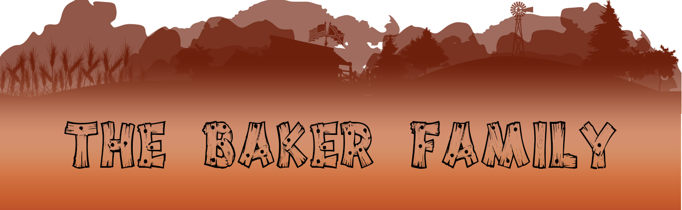 Thebakerfamilybanner - Thumb - - Aries (1366x422), Png Download