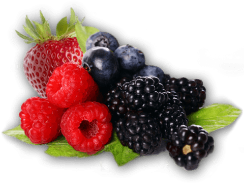 Free Png Berries Png Images Transparent - Berries Clipart Png (480x480), Png Download