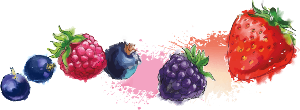 Previous - Mix Berry Png (958x353), Png Download