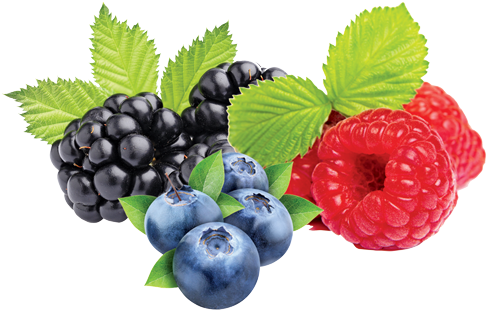 Download Mixberry - Mix Berry Png - HD Transparent PNG - NicePNG.com