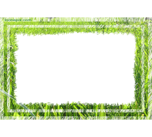 08 May 2011 - Picture Frame (500x450), Png Download