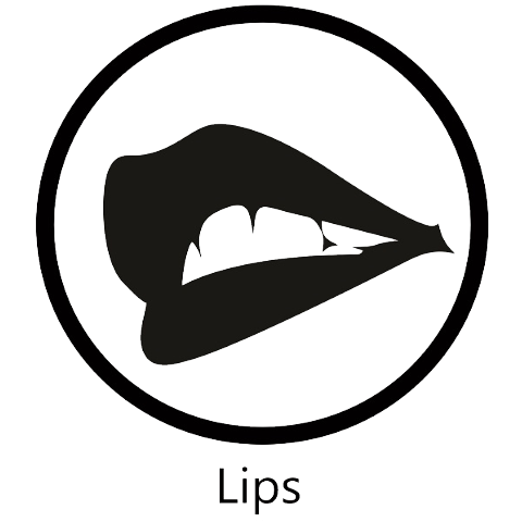 Lips Lips (480x480), Png Download