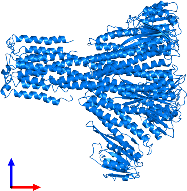 <div Class='caption-body'>pdb Entry 3jcg Contains 5 (800x800), Png Download