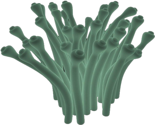 Green By Darkadathea On - Hand (600x600), Png Download