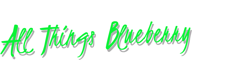 Blueberry (800x239), Png Download