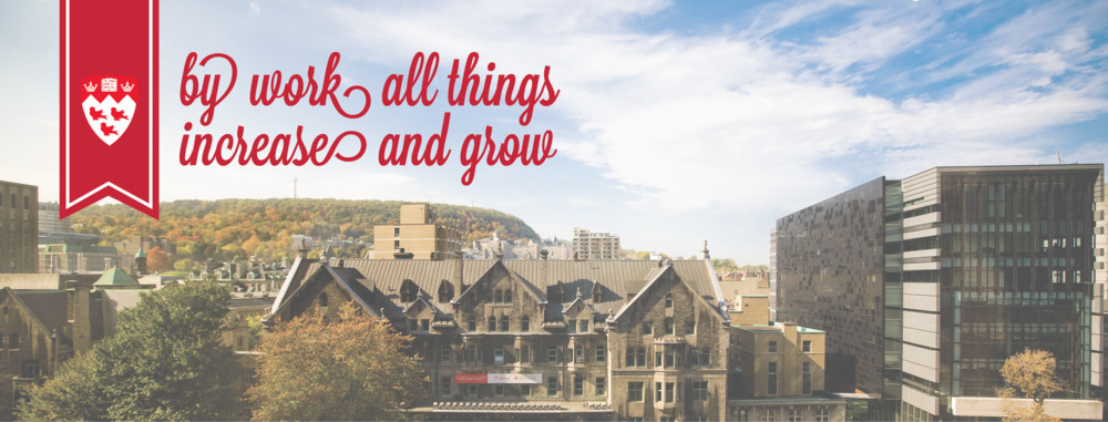 By Work All Things Increase And Grow-01 - 100 Days Of Gratitude Journal [book] (1000x381), Png Download