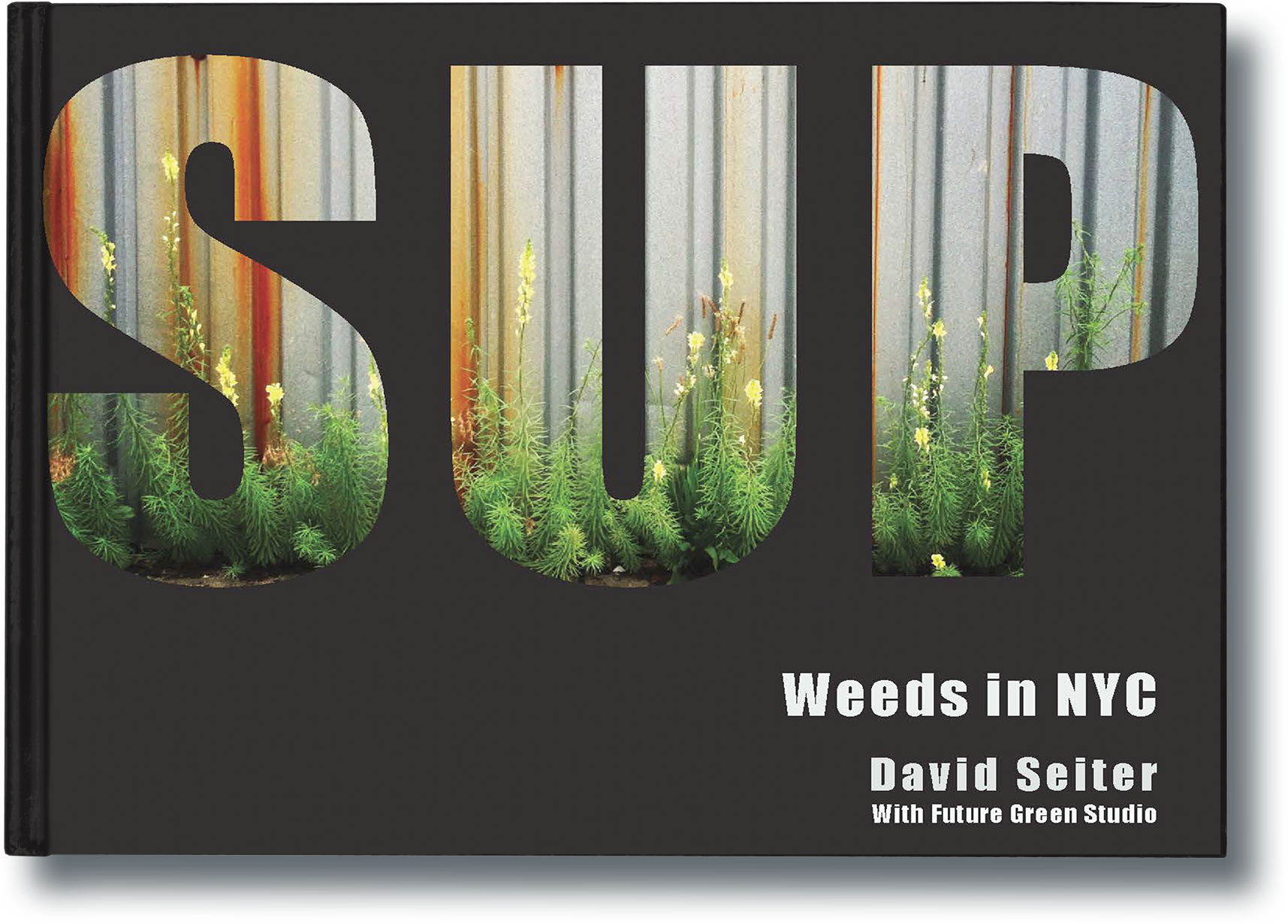 Spontaneous Urban Plants - Spontaneous Urban Plants By David Seiter (1999x1491), Png Download