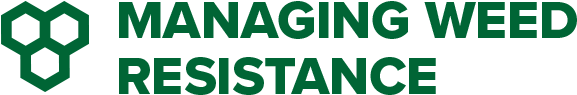 Graphic Design (630x230), Png Download