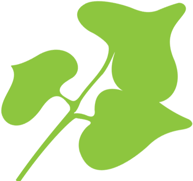 Reviews And Testimonials About Coral Tree Caregiving - Coral Tree In Home Care (390x367), Png Download