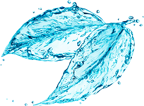 El Agua Lustral, Se Utiliza Principalmente En Magia - American Biotech Labs - Silver Biotics Skin Cream - (500x379), Png Download