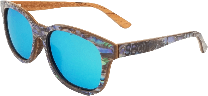 Sea Shell Sunglasses - Gafas De Sol Valencia Cf (1080x810), Png Download