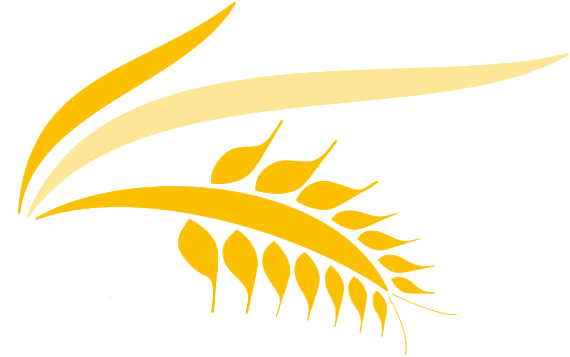 New Harvest Christian Co-op - New Harvest Logo (589x360), Png Download