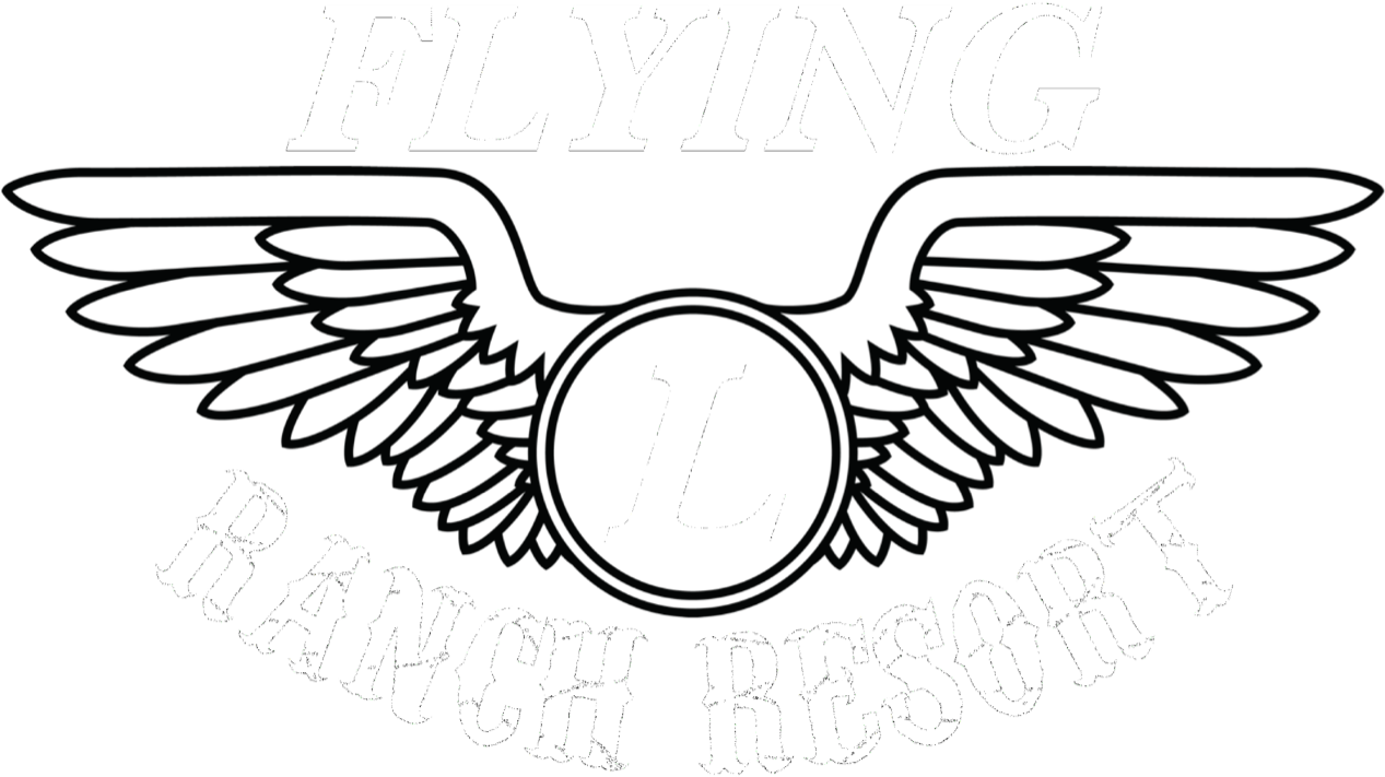 Flying L Ranch Resort - Army Aviation Enlisted Wings (1280x757), Png Download