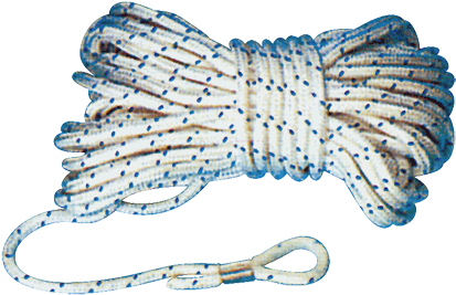 Fish (450x350), Png Download
