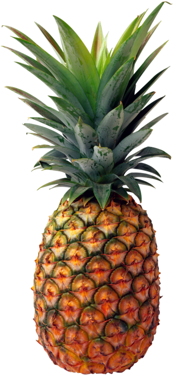 August 2014 Vegetables, Fruits And Veggies, Watercolor - Pineapple Png (354x750), Png Download