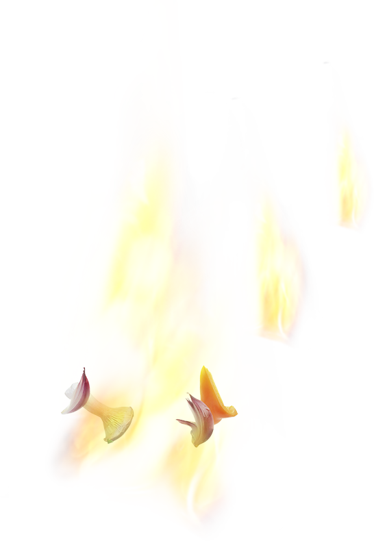 Lohas (546x790), Png Download