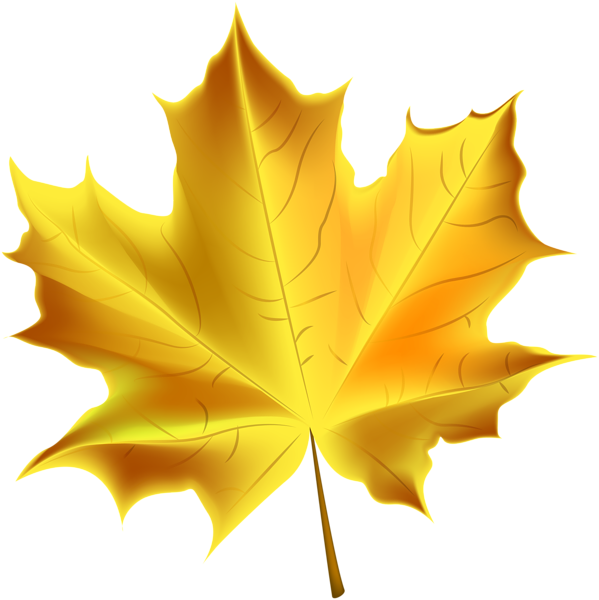 Beautiful Yellow Autumn Leaf Transparent Png Clip Art - Autumn Tree Leaf Clipart (599x600), Png Download