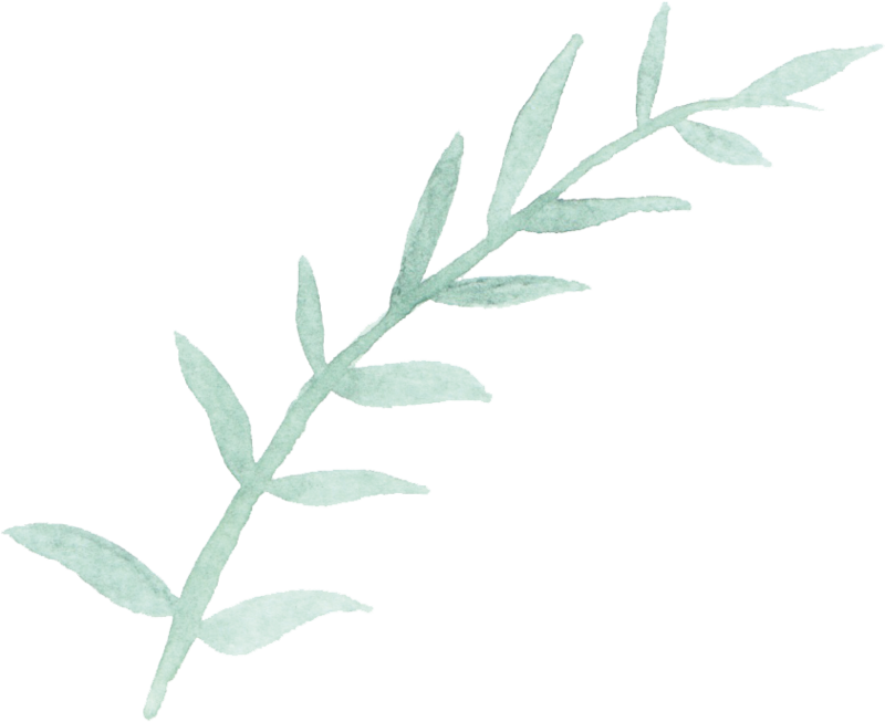 Watercolorleaves - Common Sage (800x653), Png Download
