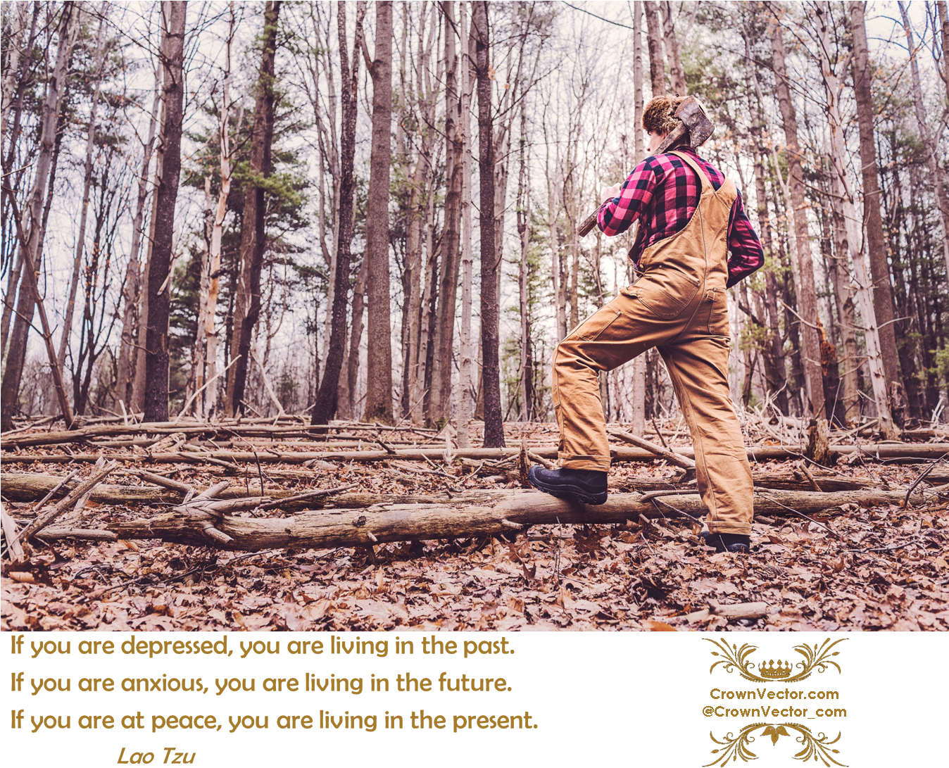 Lumberjack (1347x1102), Png Download