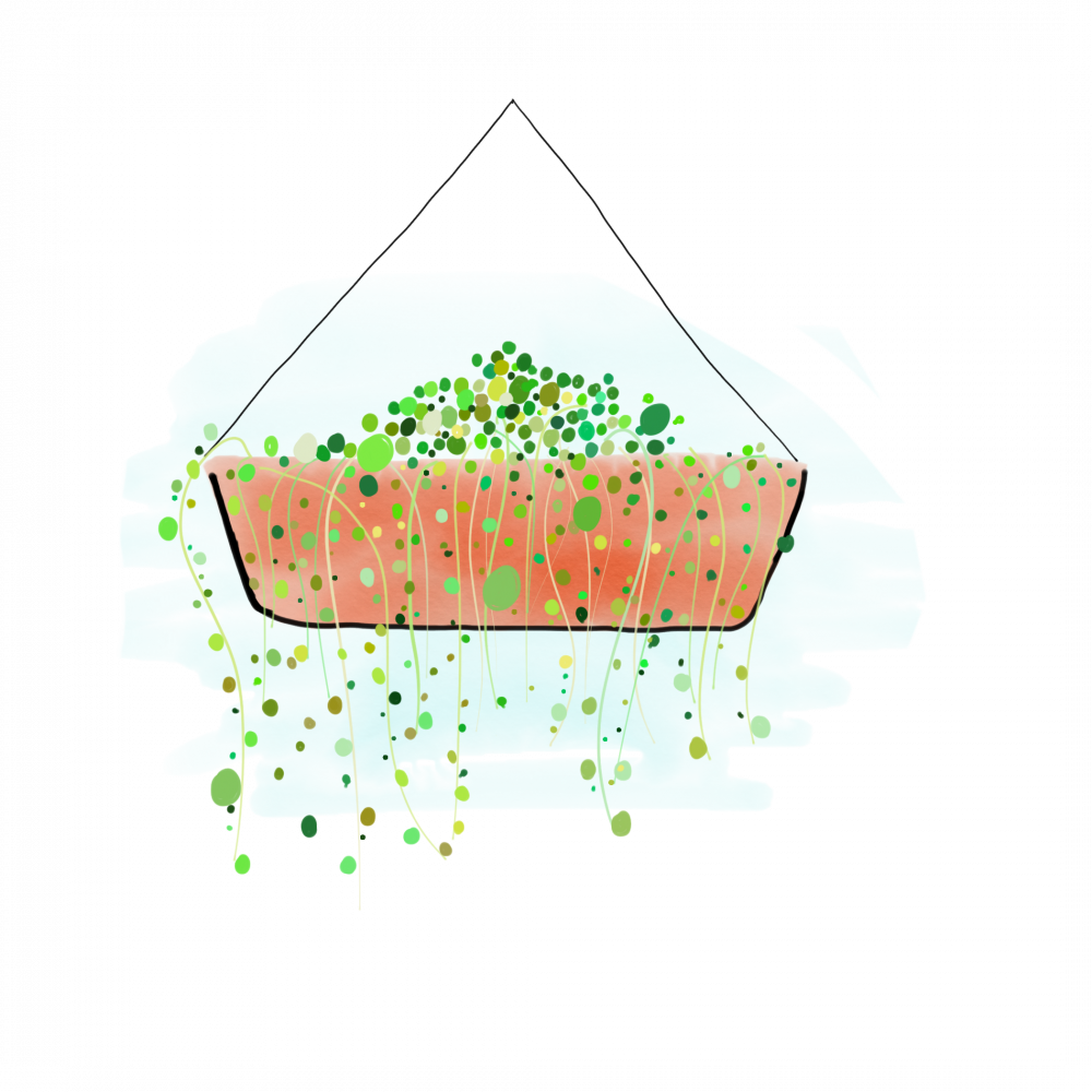 Illustration (1000x1000), Png Download