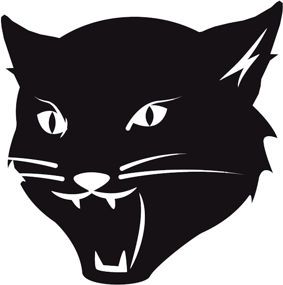 Cat Face Png (642x624), Png Download