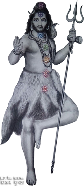 Photograph (289x640), Png Download