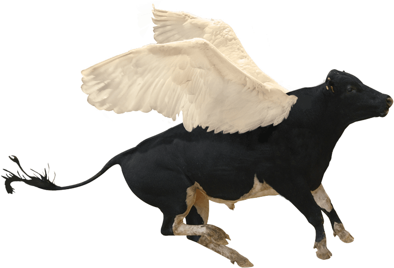 Bull - Borzoi (880x889), Png Download