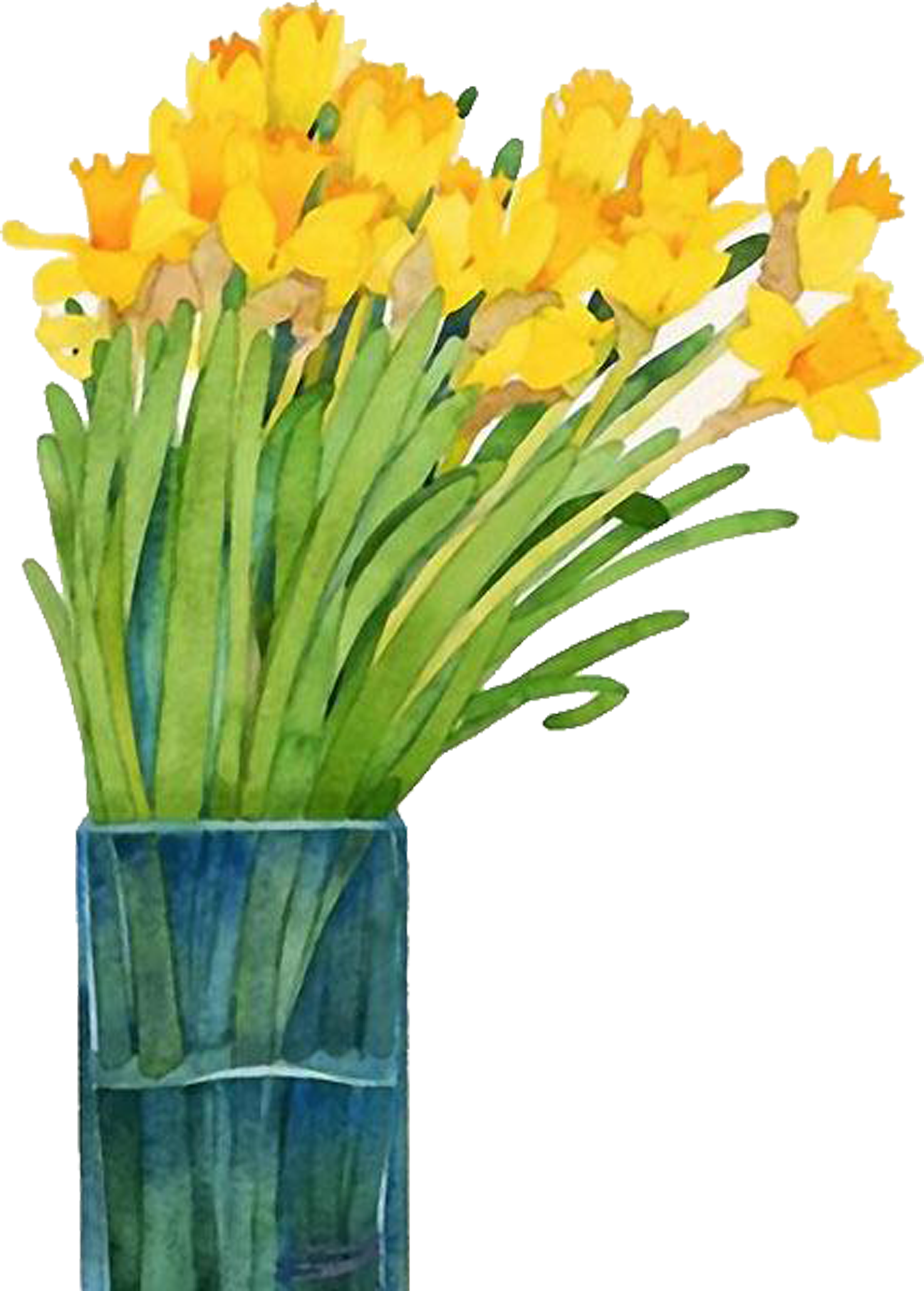 Image Royalty Free Library Daffodils Drawing Watercolor - Narcissus Painting In Watercolor (5000x5000), Png Download