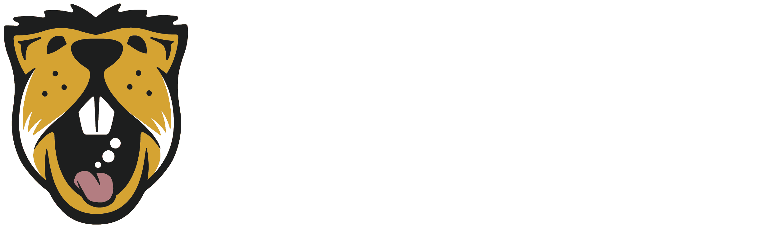 Pattern (2550x802), Png Download