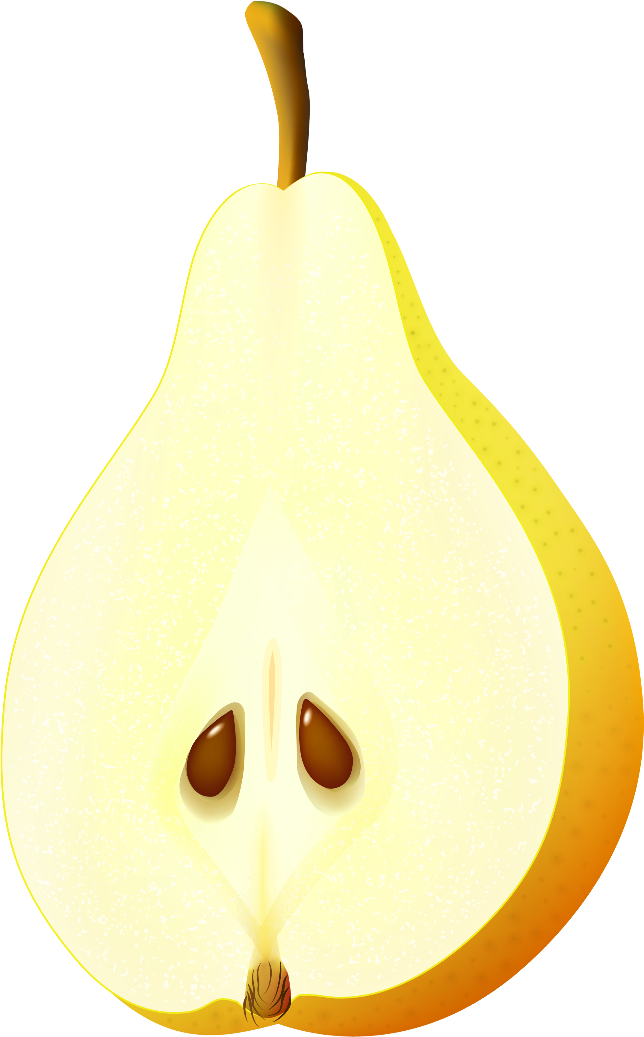 Asian Pear (2387x3669), Png Download