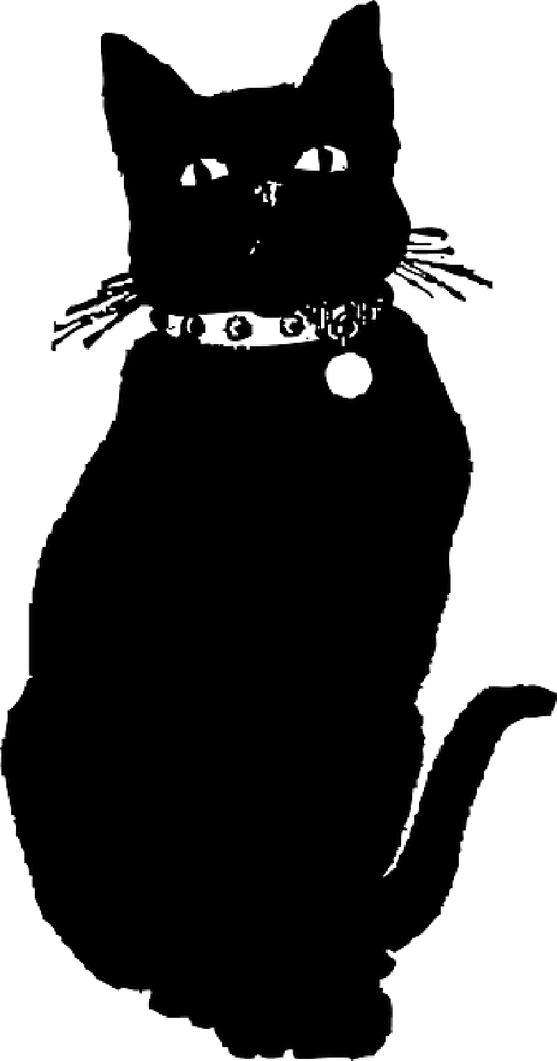 Drawn Black Cat - Black Cat Gif Png (312x594), Png Download